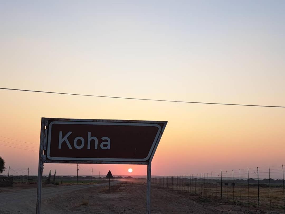 Koha Guesthouse Mariental Eksteriør billede